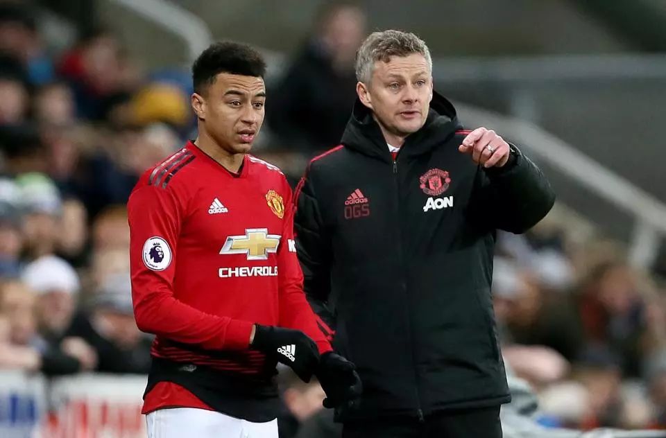 梅里诺的去 梅里诺的去